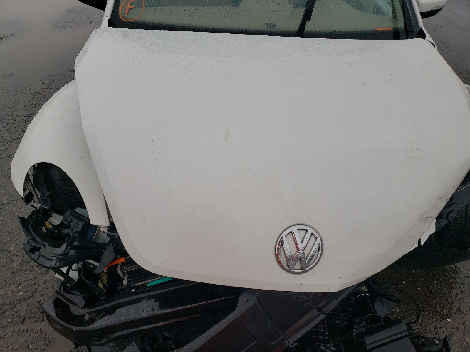 Photo 7 from auction – 2013 VOLKSWAGEN BEETLE with VIN 3VWJL7AT4DM632366