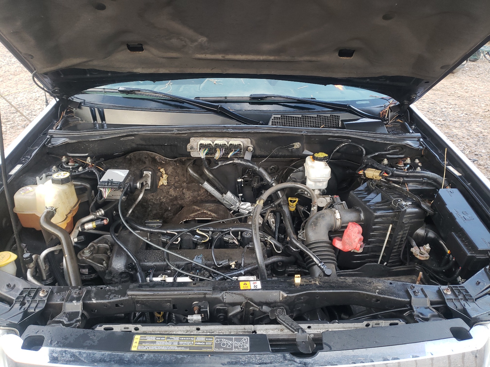 Photo 7 from auction – 2008 FORD ESCAPE XLT with VIN 1FMCU03Z78KC17309