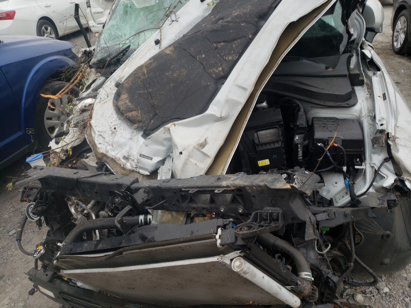 Photo 7 from auction – 2019 HYUNDAI SANTA FE S with VIN 5NMS33AD3KH070078