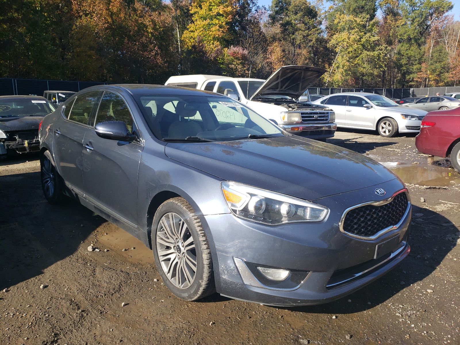 Photo 1 from auction – 2014 KIA CADENZA PR with VIN KNALN4D76E5131762