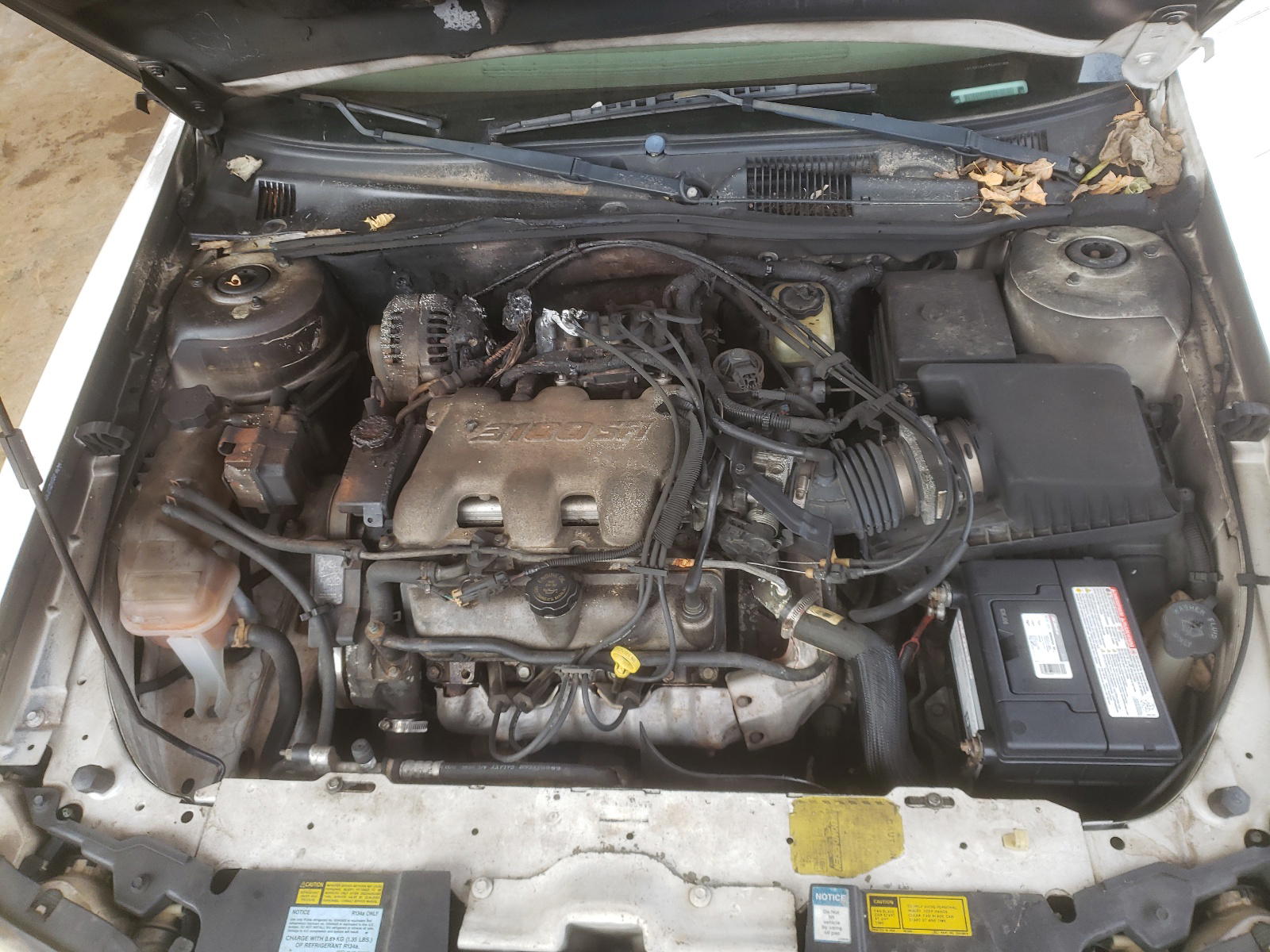 Photo 7 from auction – 2000 CHEVROLET MALIBU with VIN 1G1ND52J3Y6322100