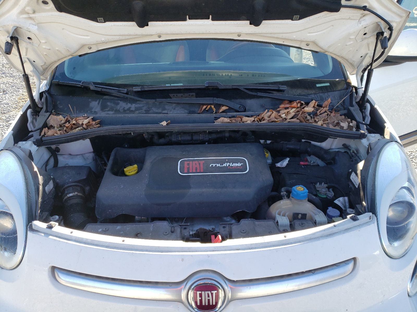 Photo 7 from auction – 2014 FIAT 500L TREKK with VIN ZFBCFADH2EZ004574