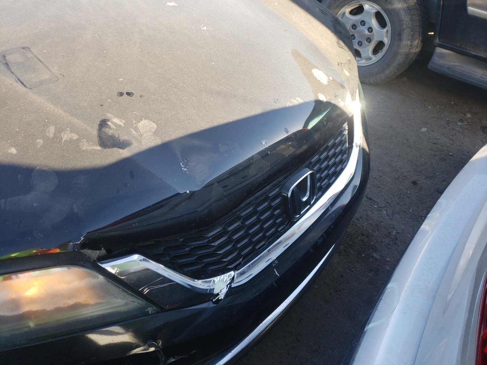 Photo 9 from auction – 2014 HONDA ACCORD EXL with VIN 1HGCT1B8XEA005254