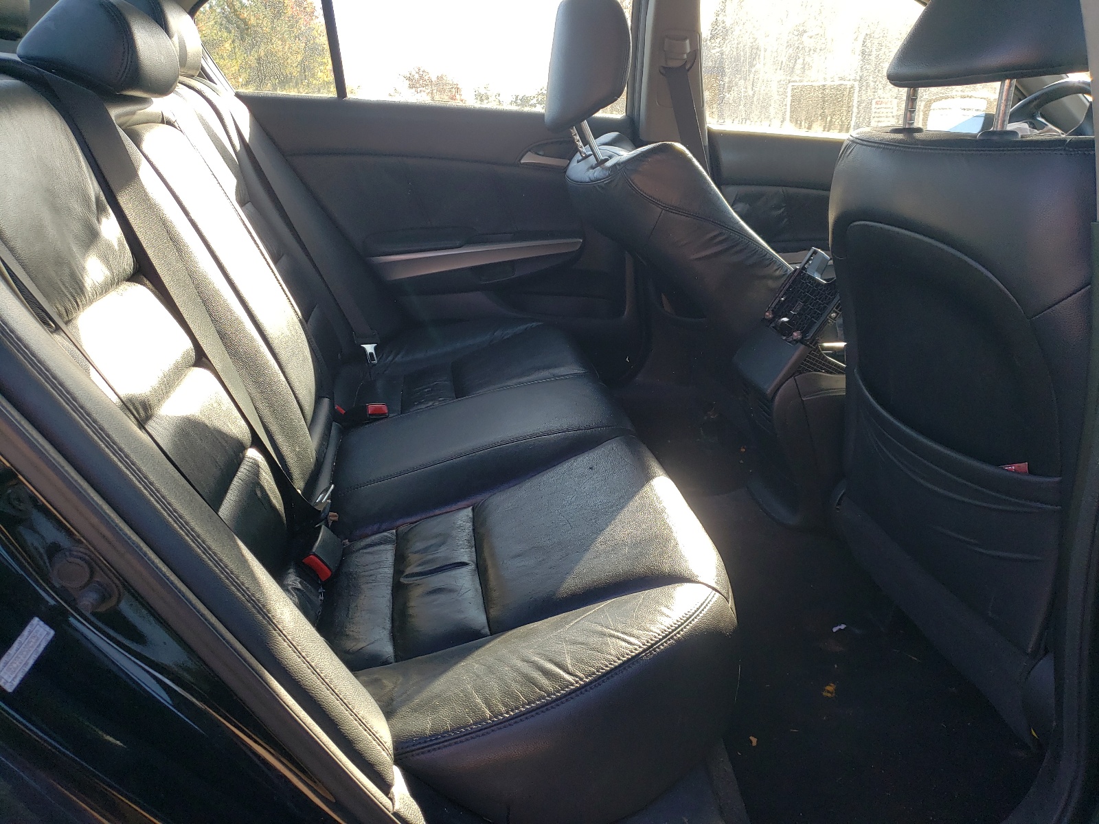 Photo 6 from auction – 2010 HONDA ACCORD EXL with VIN 1HGCP2F85AA053520