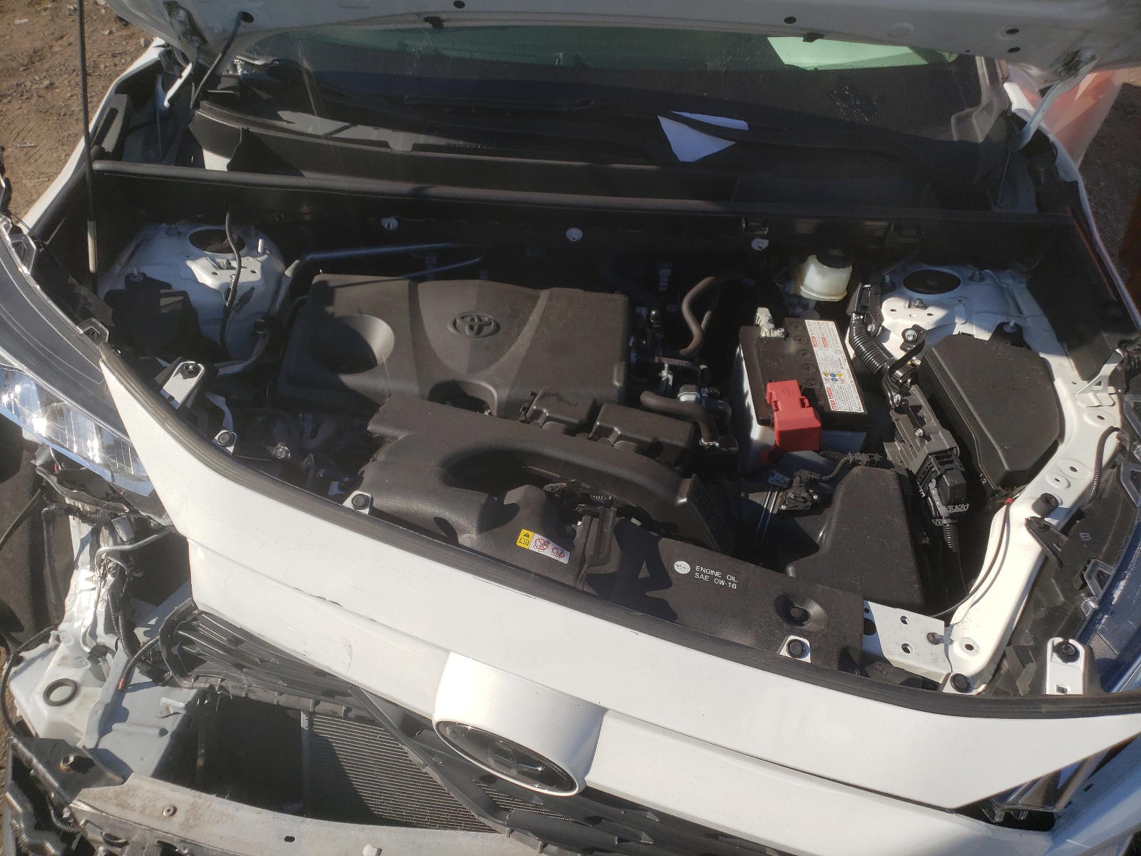 Photo 7 from auction – 2019 TOYOTA RAV4 XLE with VIN JTMP1RFV0KD016164