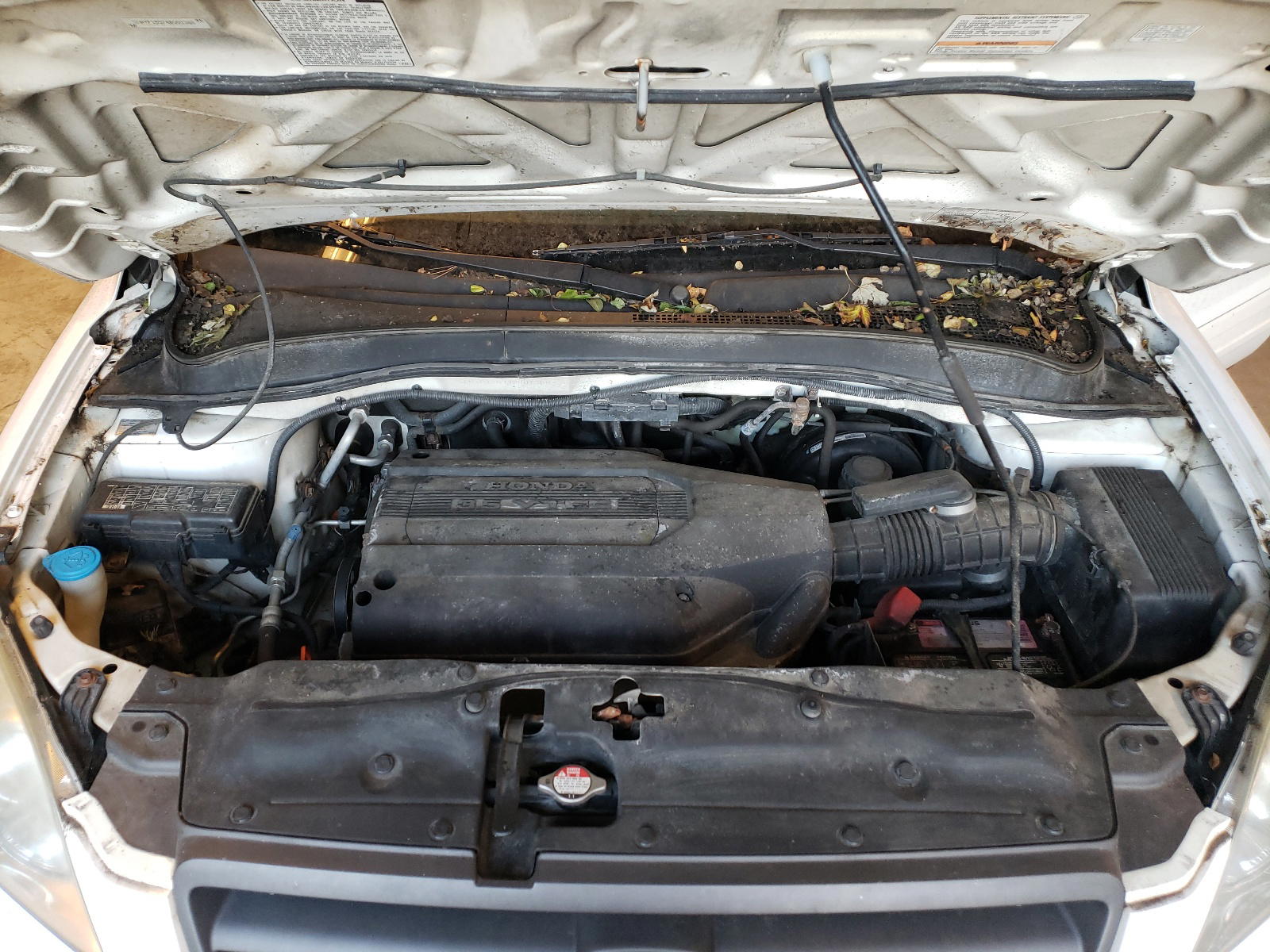 Photo 7 from auction – 2004 HONDA PILOT with VIN 5FNYF18574B001368