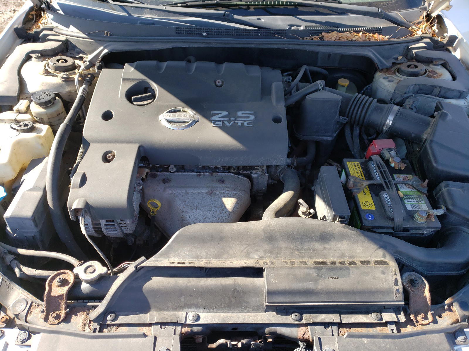 Photo 7 from auction – 2003 NISSAN ALTIMA BAS with VIN 1N4AL11D13C127660