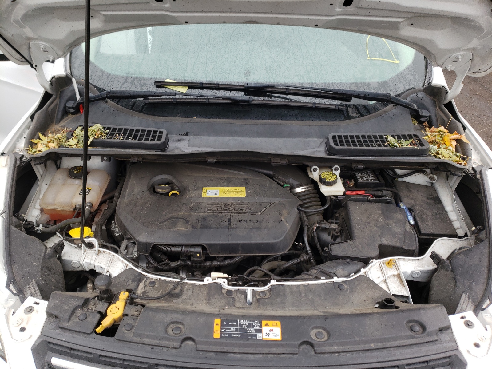 Photo 7 from auction – 2013 FORD ESCAPE SE with VIN 1FMCU9GX6DUB82967