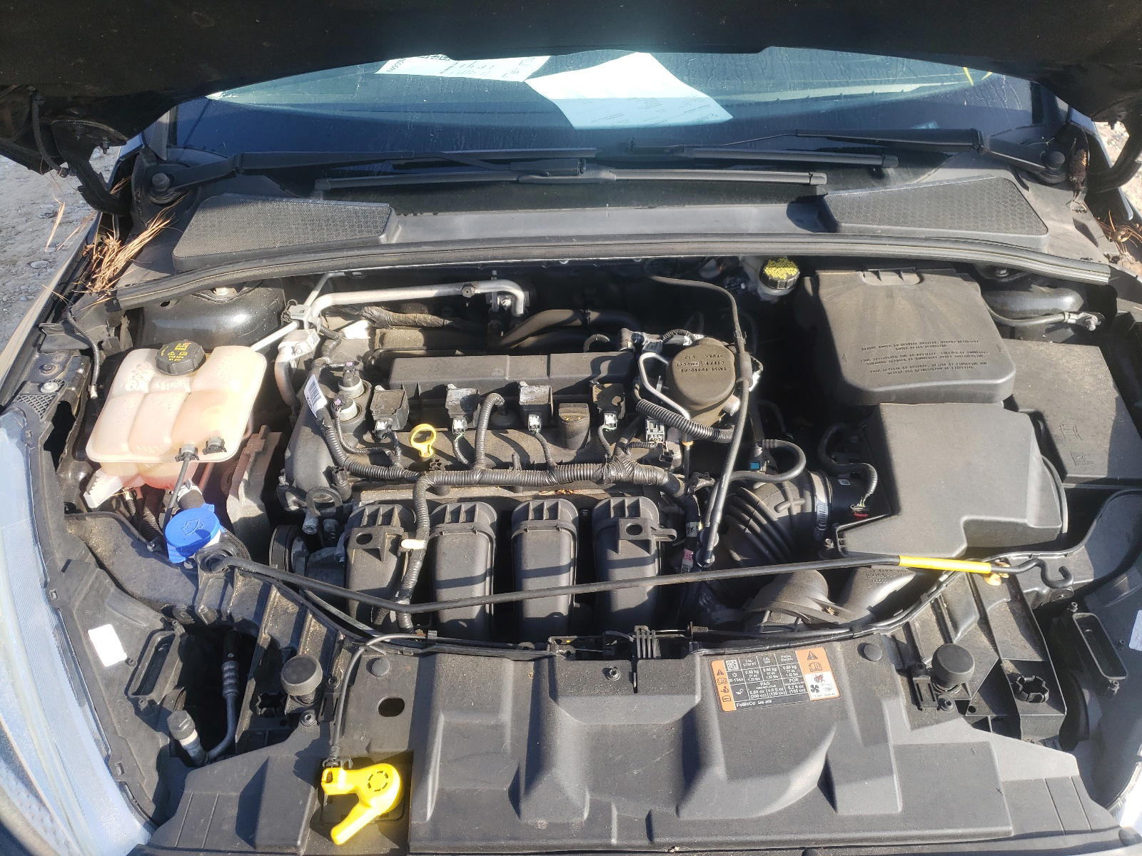 Photo 7 from auction – 2015 FORD FOCUS SE with VIN 1FADP3K22FL292180
