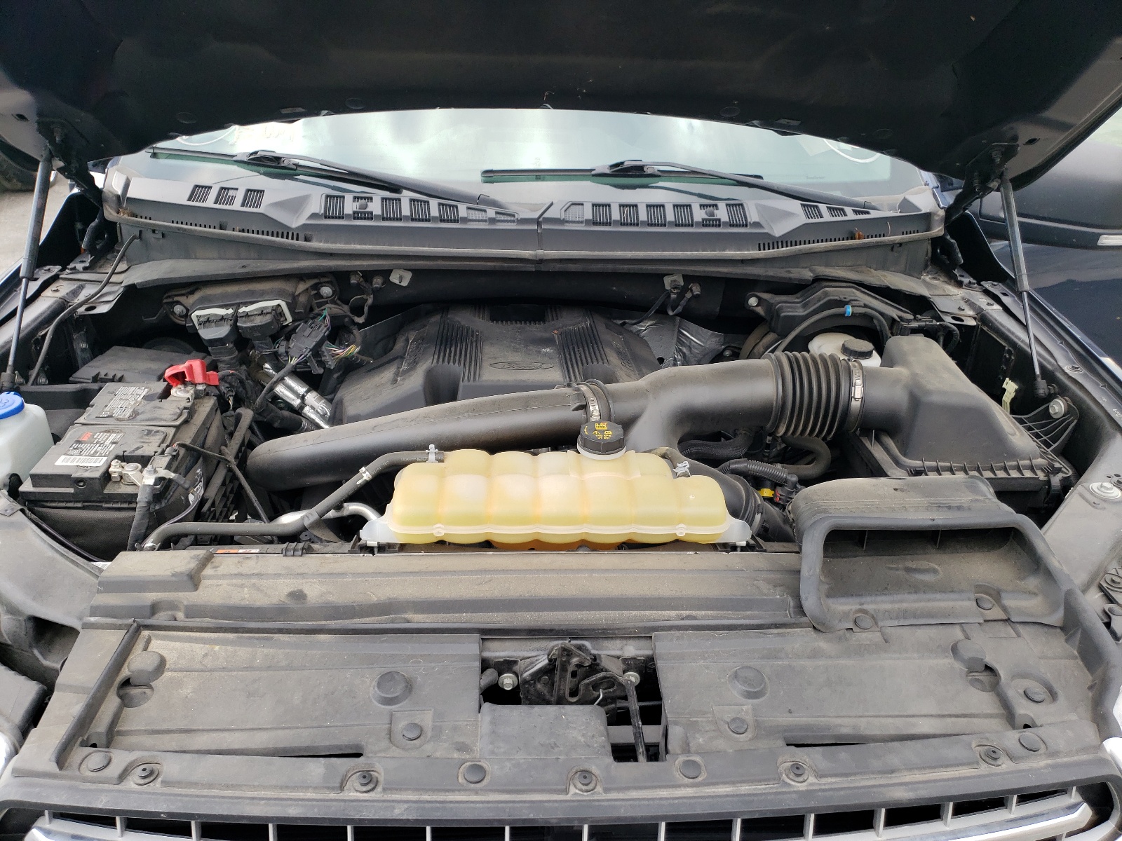 Photo 7 from auction – 2019 FORD F150 SUPER with VIN 1FTFW1E46KFC60381