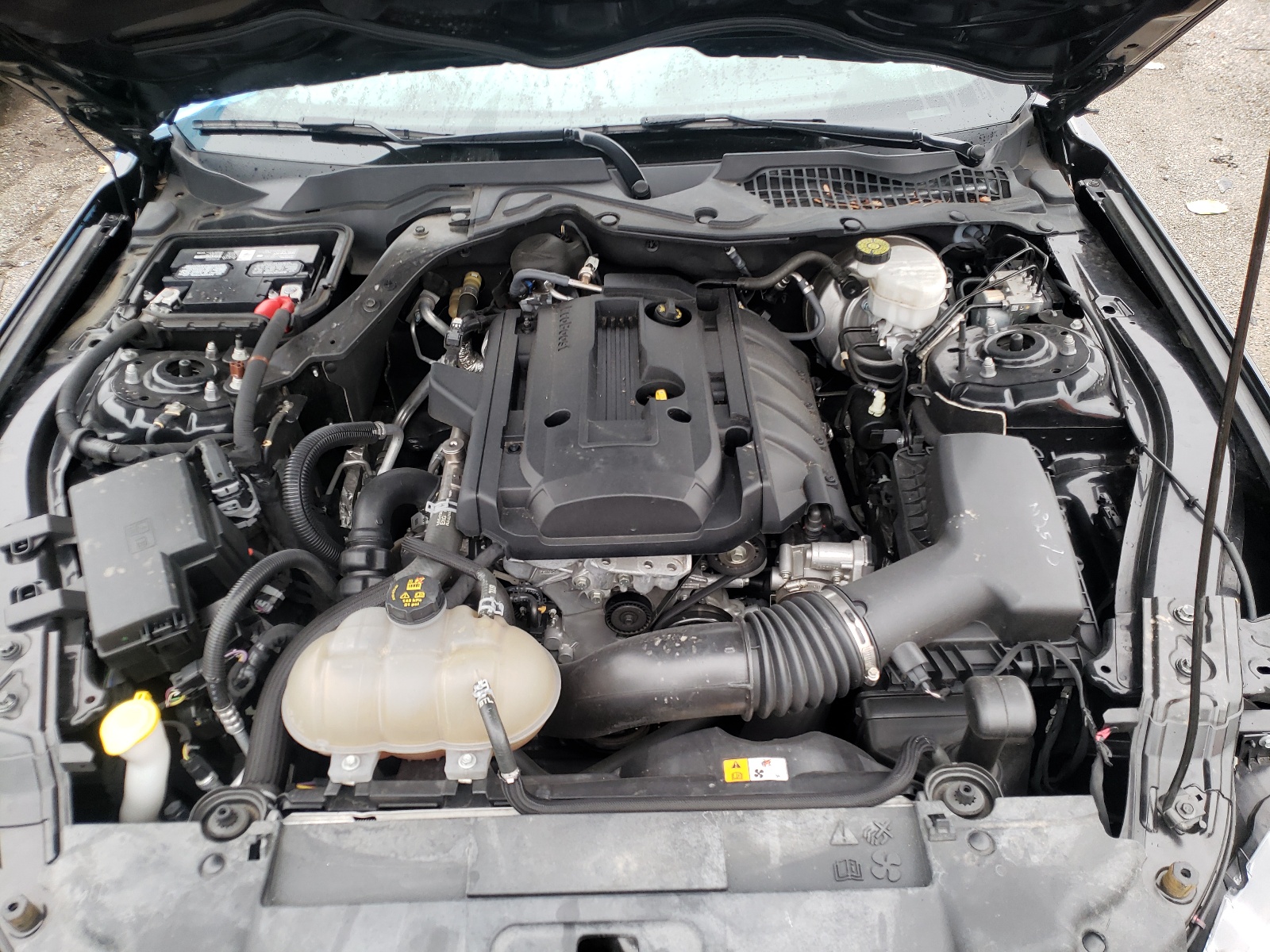 Photo 7 from auction – 2019 FORD MUSTANG with VIN 1FA6P8TH1K5133321