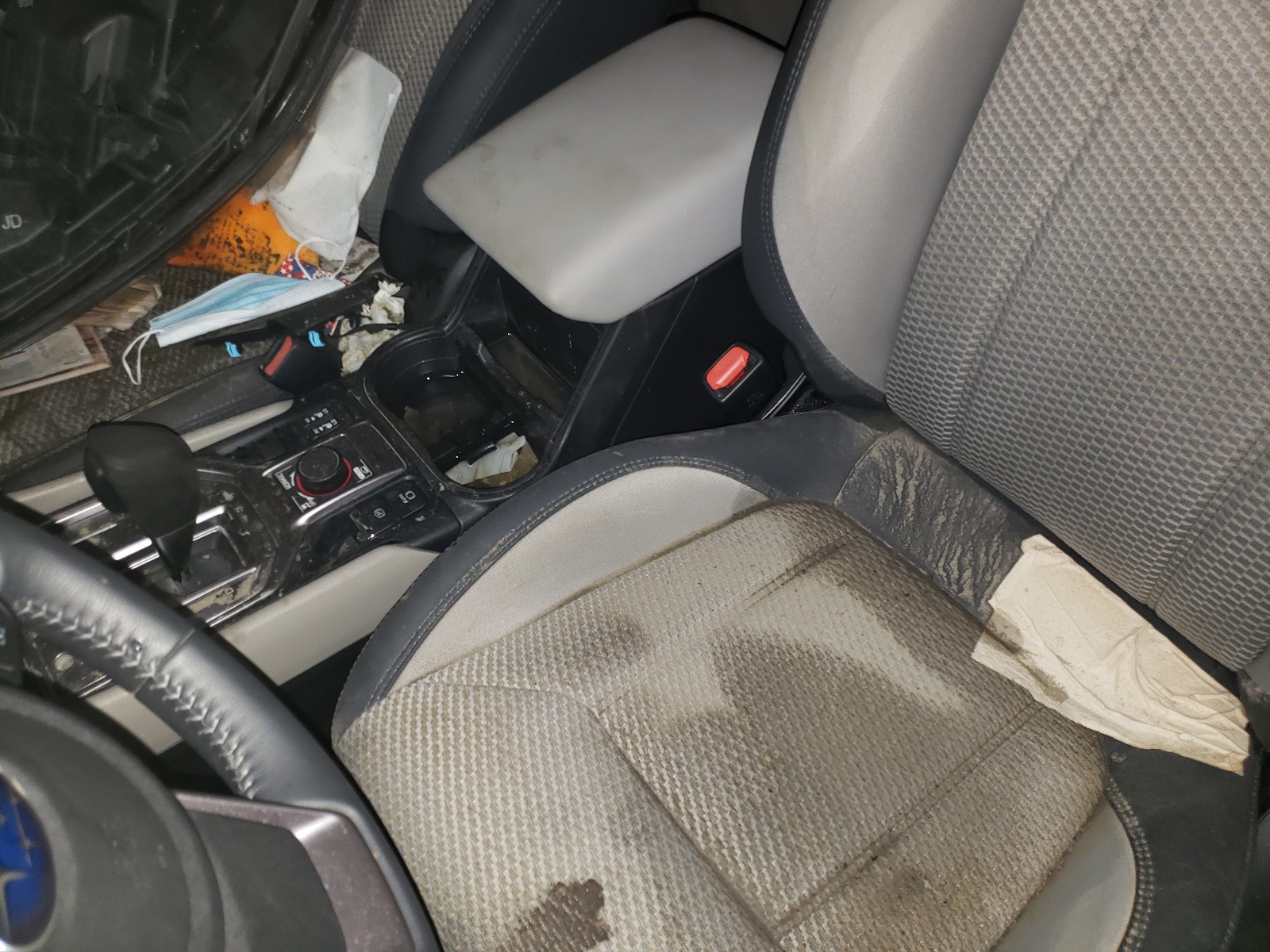 Photo 9 from auction – 2020 SUBARU FORESTER P with VIN JF2SKAJC5LH545071