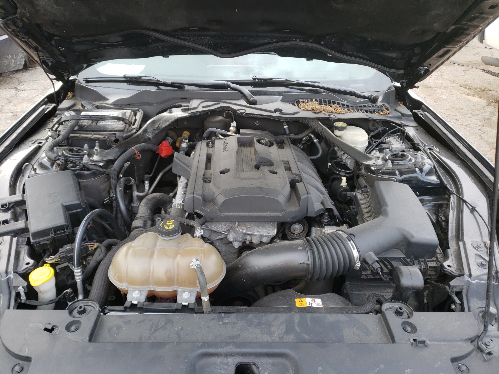 Photo 7 from auction – 2016 FORD MUSTANG with VIN 1FATP8UH6G5274460
