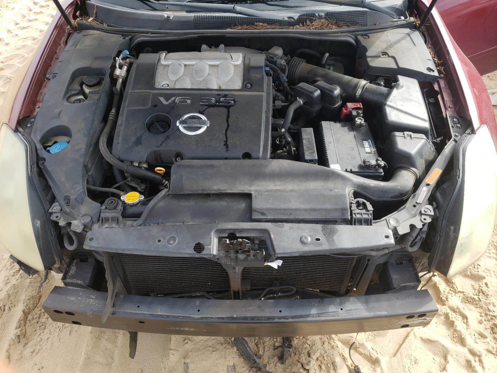 Photo 7 from auction – 2004 NISSAN MAXIMA SE with VIN 1N4BA41E04C853516