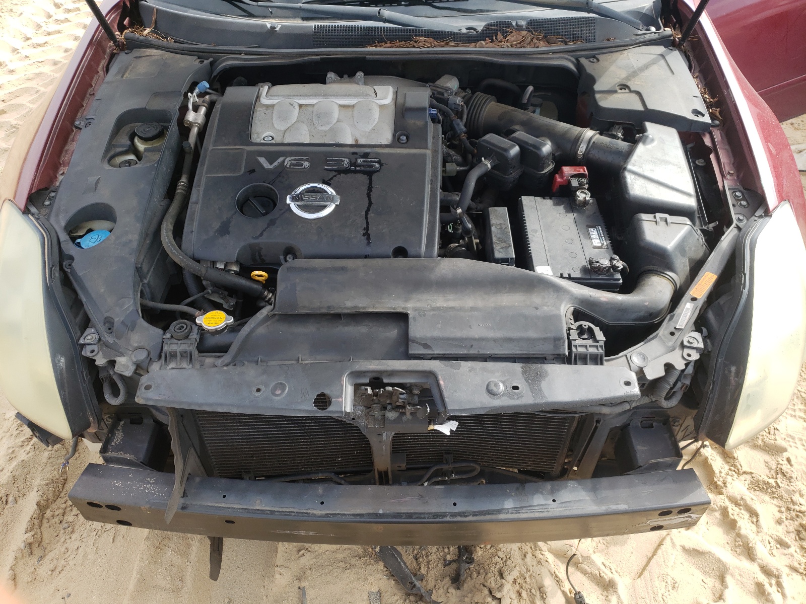 صورة رقم 7 من المزاد - 2004 NISSAN MAXIMA SE مع VIN 1N4BA41E04C853516
