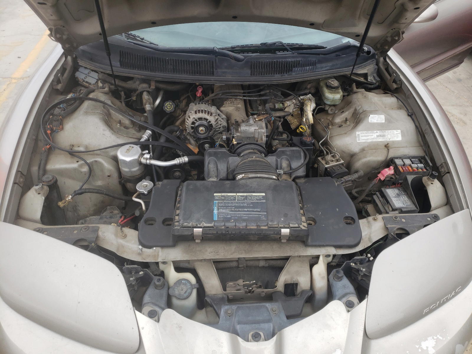 Photo 7 from auction – 2000 PONTIAC FIREBIRD with VIN 2G2FS22K7Y2158428