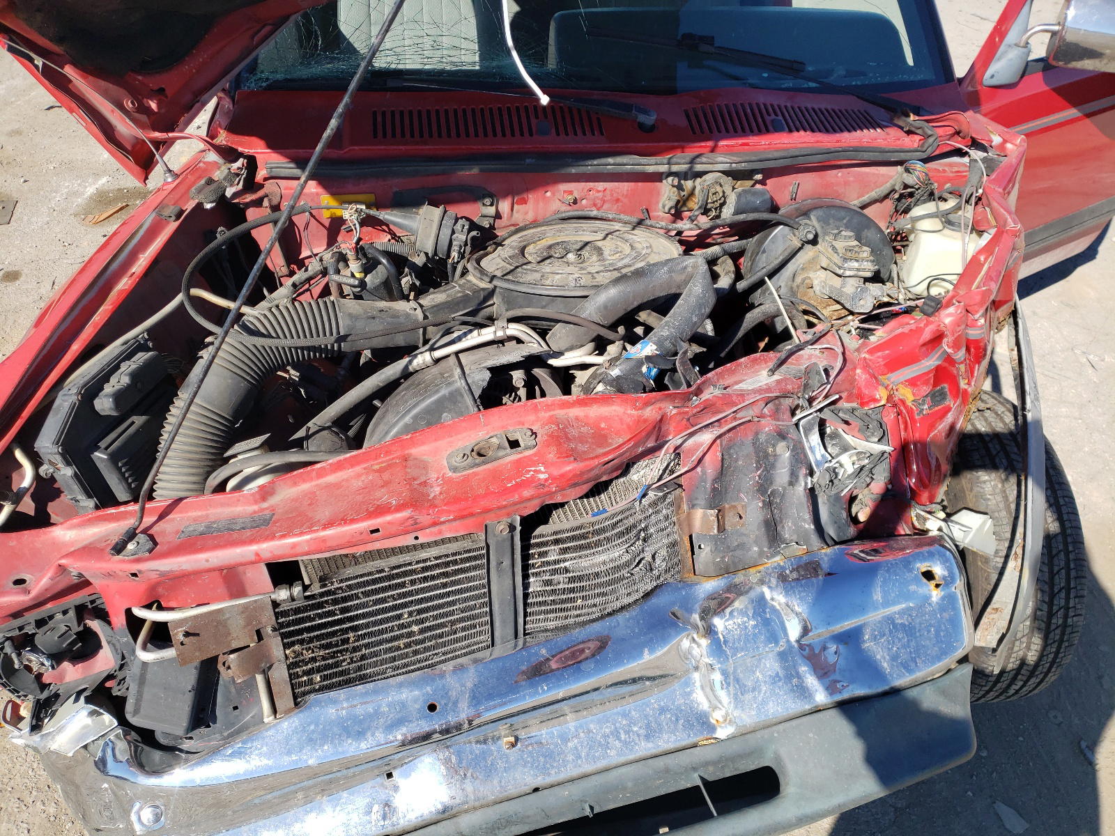 Photo 7 from auction – 1995 DODGE DAKOTA with VIN 1B7GL23X8SS278162
