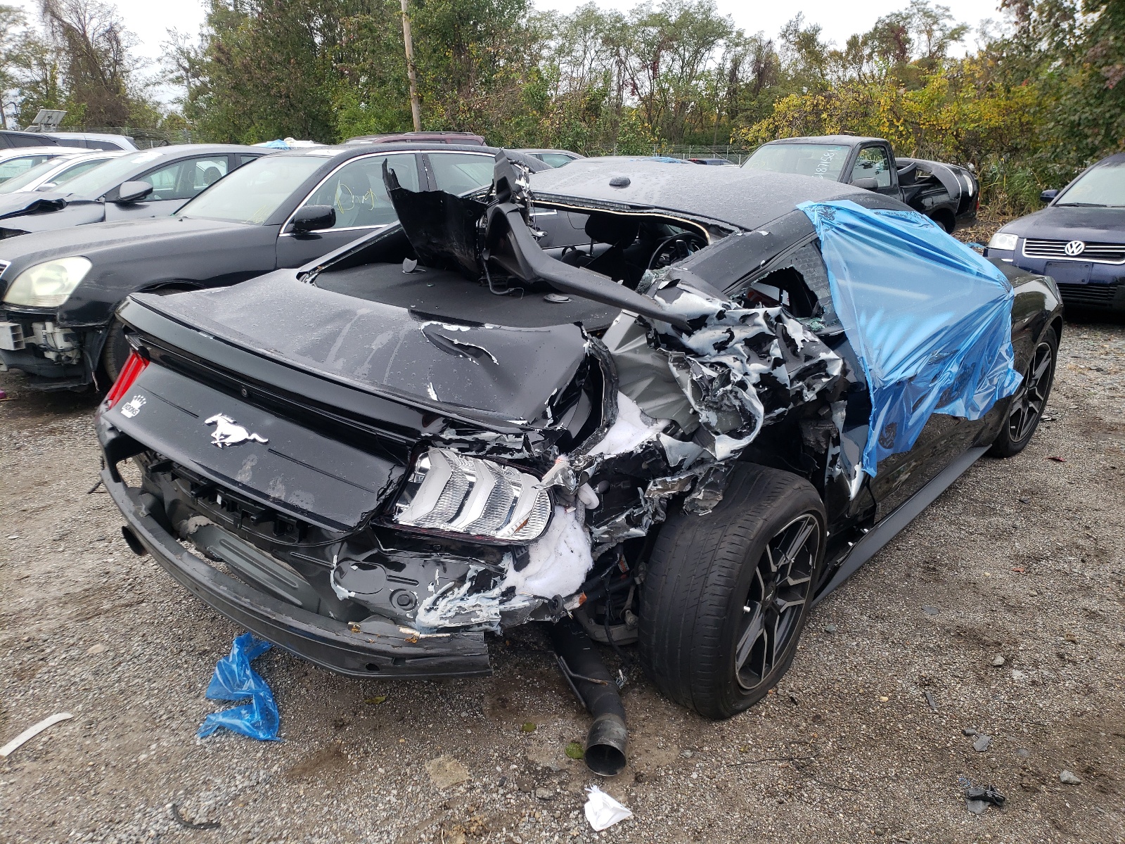 Photo 4 from auction – 2019 FORD MUSTANG with VIN 1FA6P8TH1K5133321