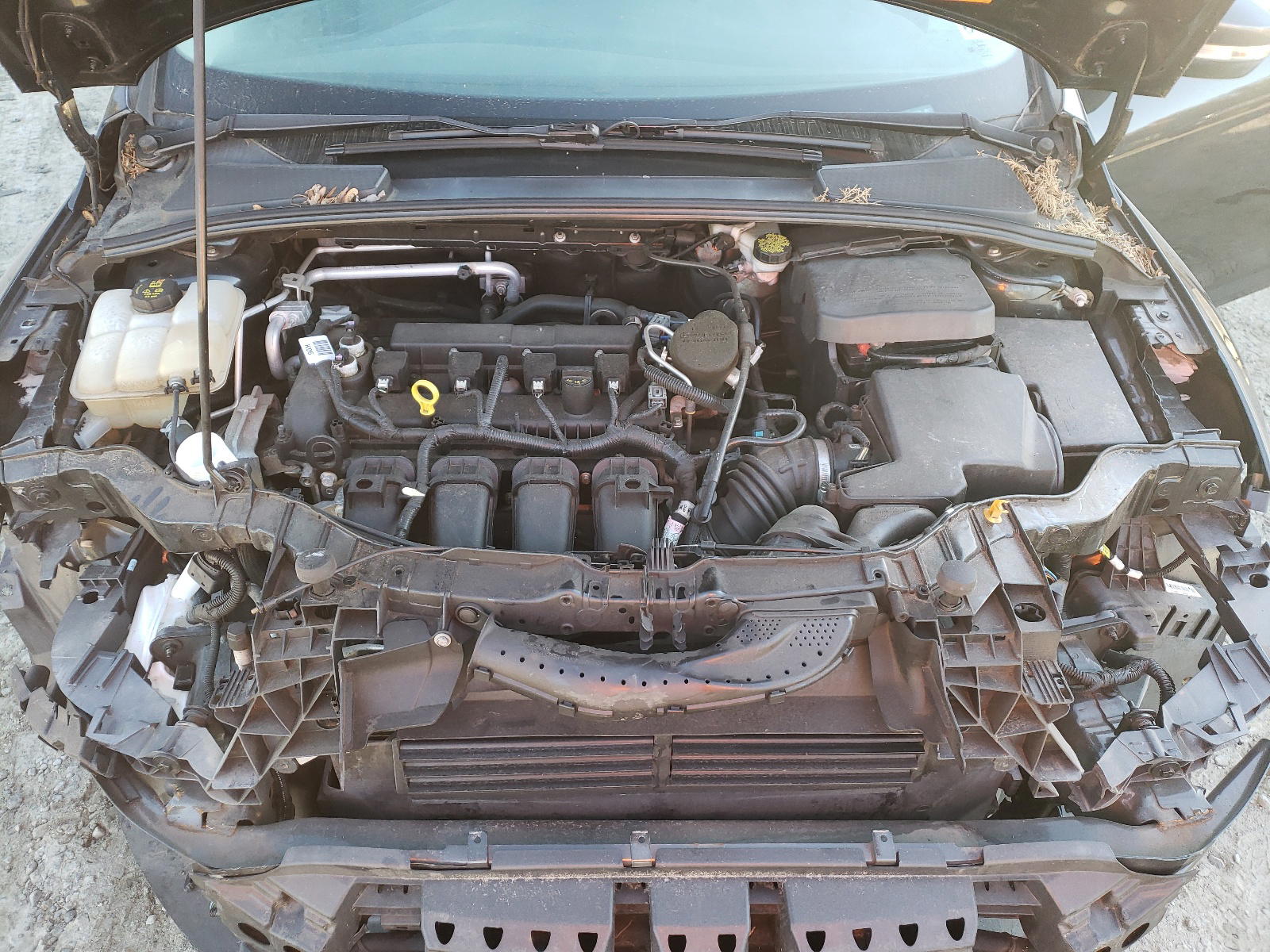 Photo 7 from auction – 2015 FORD FOCUS SE with VIN 1FADP3F22FL230174