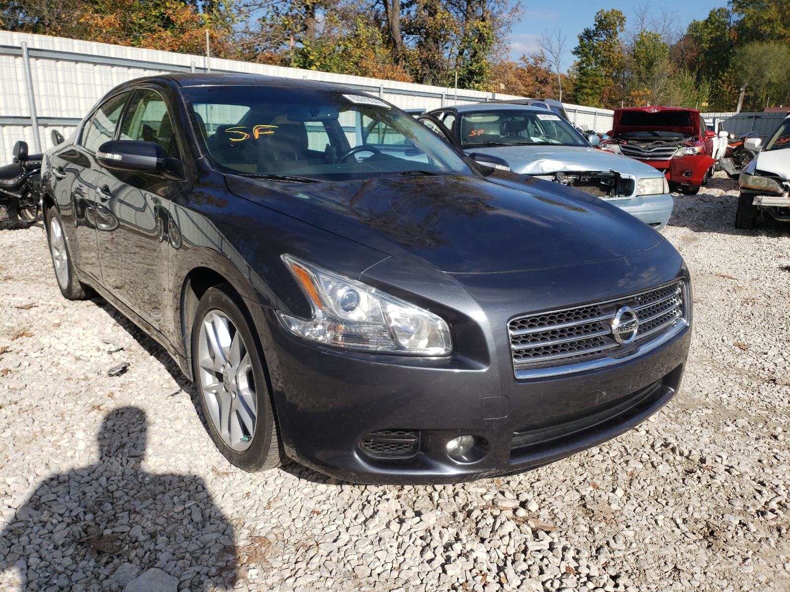 NISSAN MAXIMA S 2010 with VIN 1N4AA5AP5AC808859 - Photo from auction