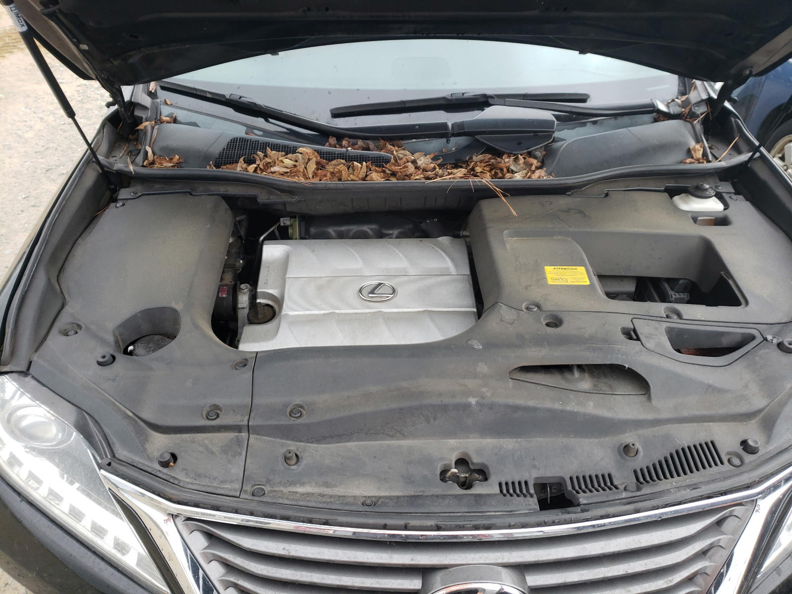 Photo 7 from auction – 2013 LEXUS RX 350 BAS with VIN 2T2BK1BA6DC170546