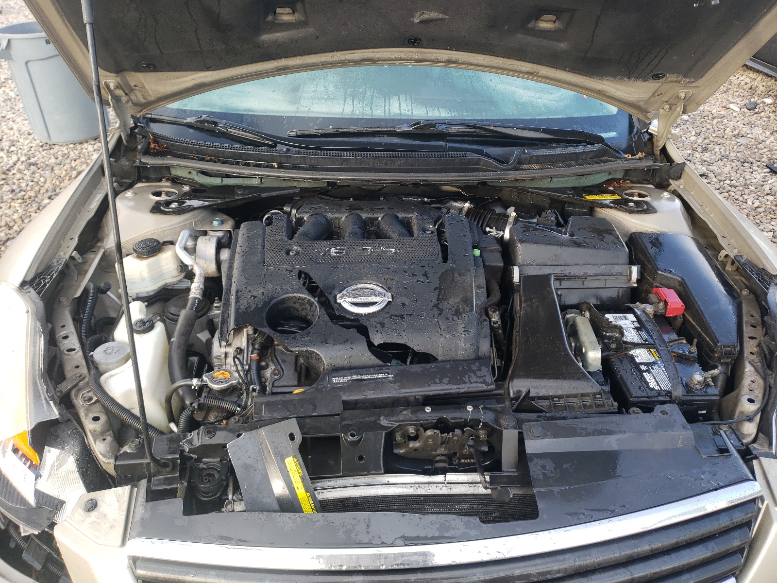 Photo 7 from auction – 2009 NISSAN ALTIMA 3.5 with VIN 1N4BL21E89C126078