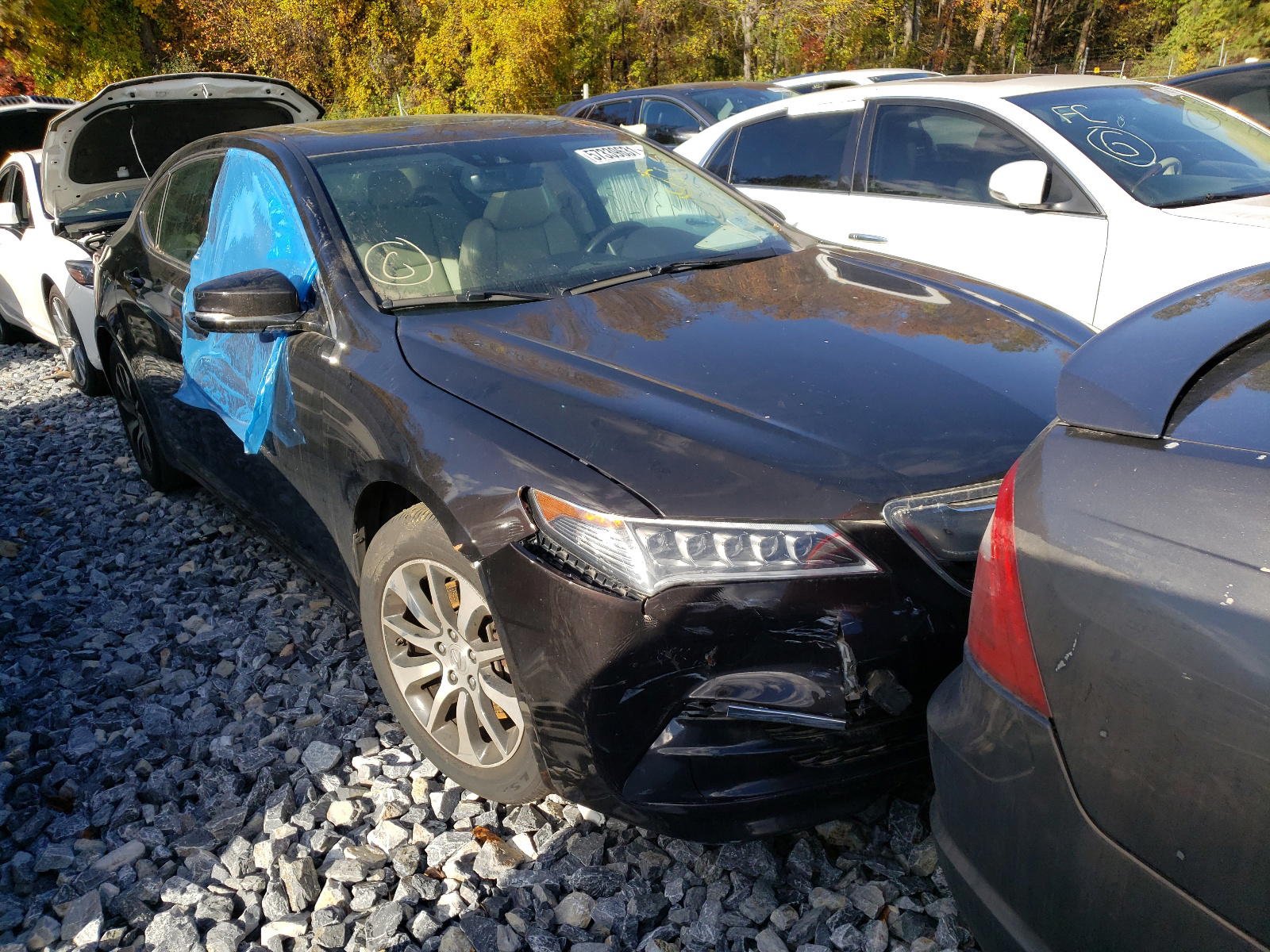 ACURA TLX TECH 2016 with VIN 19UUB1F55GA010730 - Photo from auction