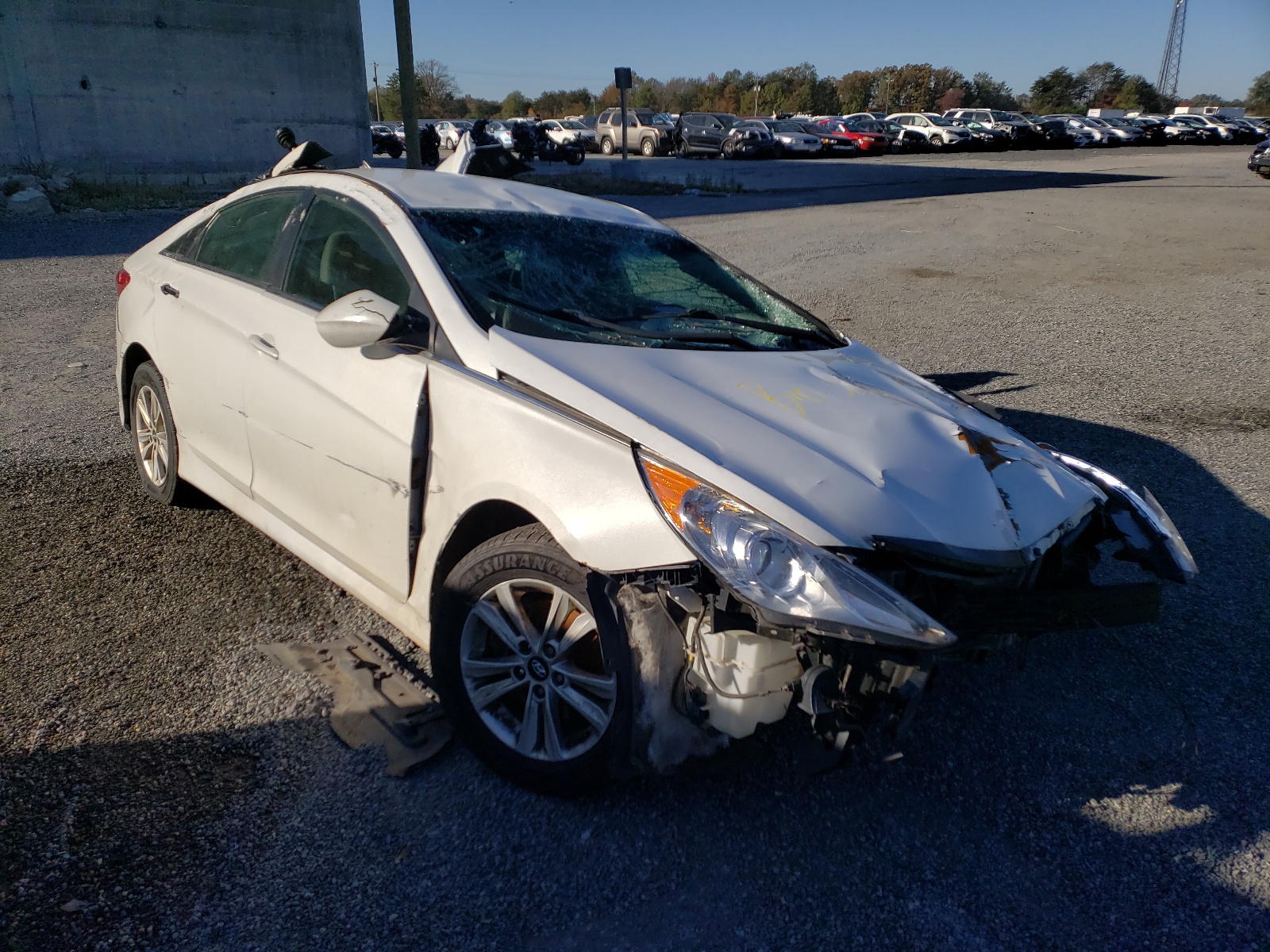 HYUNDAI SONATA GLS 2014 with VIN 5NPEB4AC5EH855805 - Photo from auction