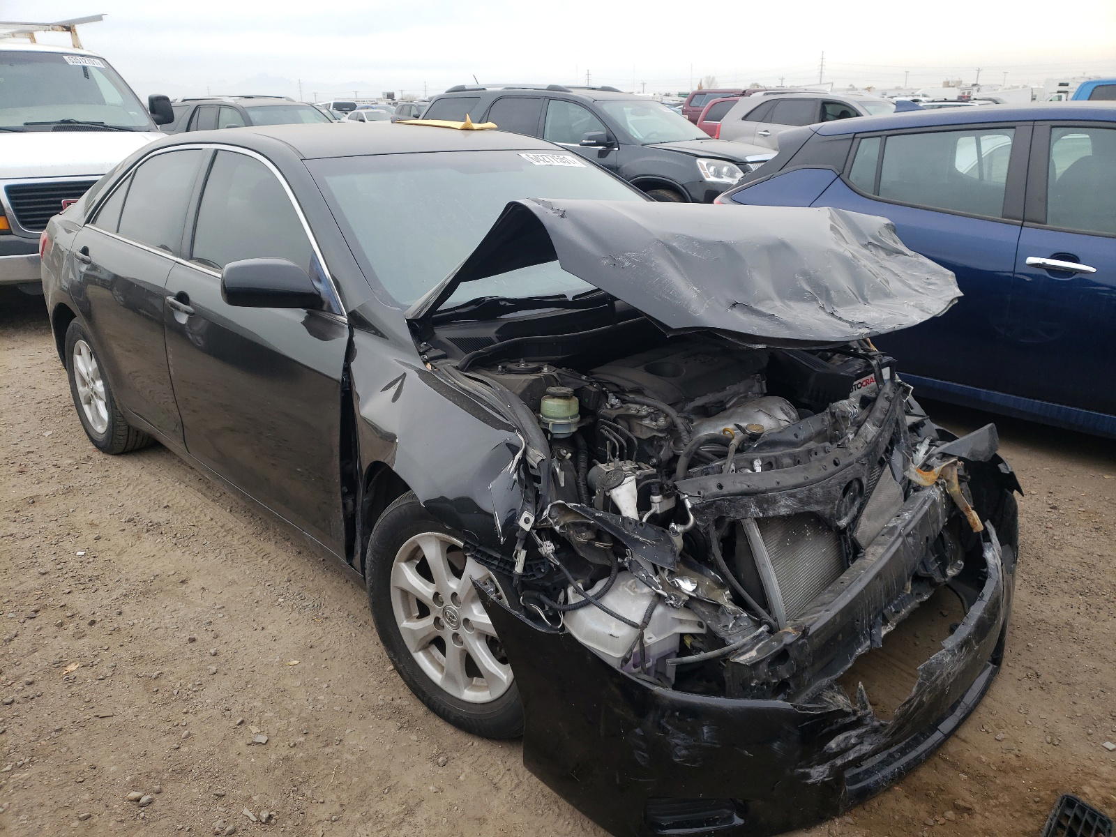 TOYOTA CAMRY BASE 2011 with VIN 4T4BF3EK6BR195022 - Photo from auction