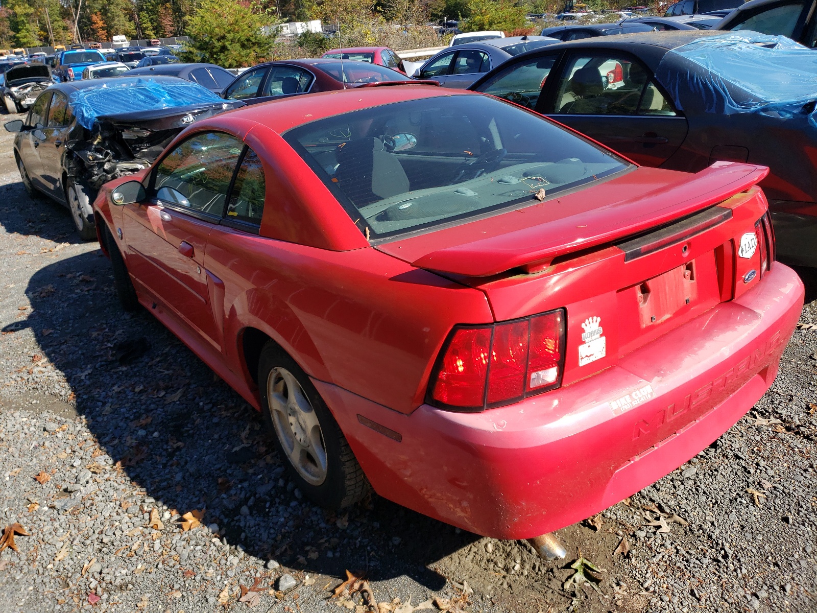 Photo 3 from auction – 2004 FORD MUSTANG with VIN 1FAFP40694F145435