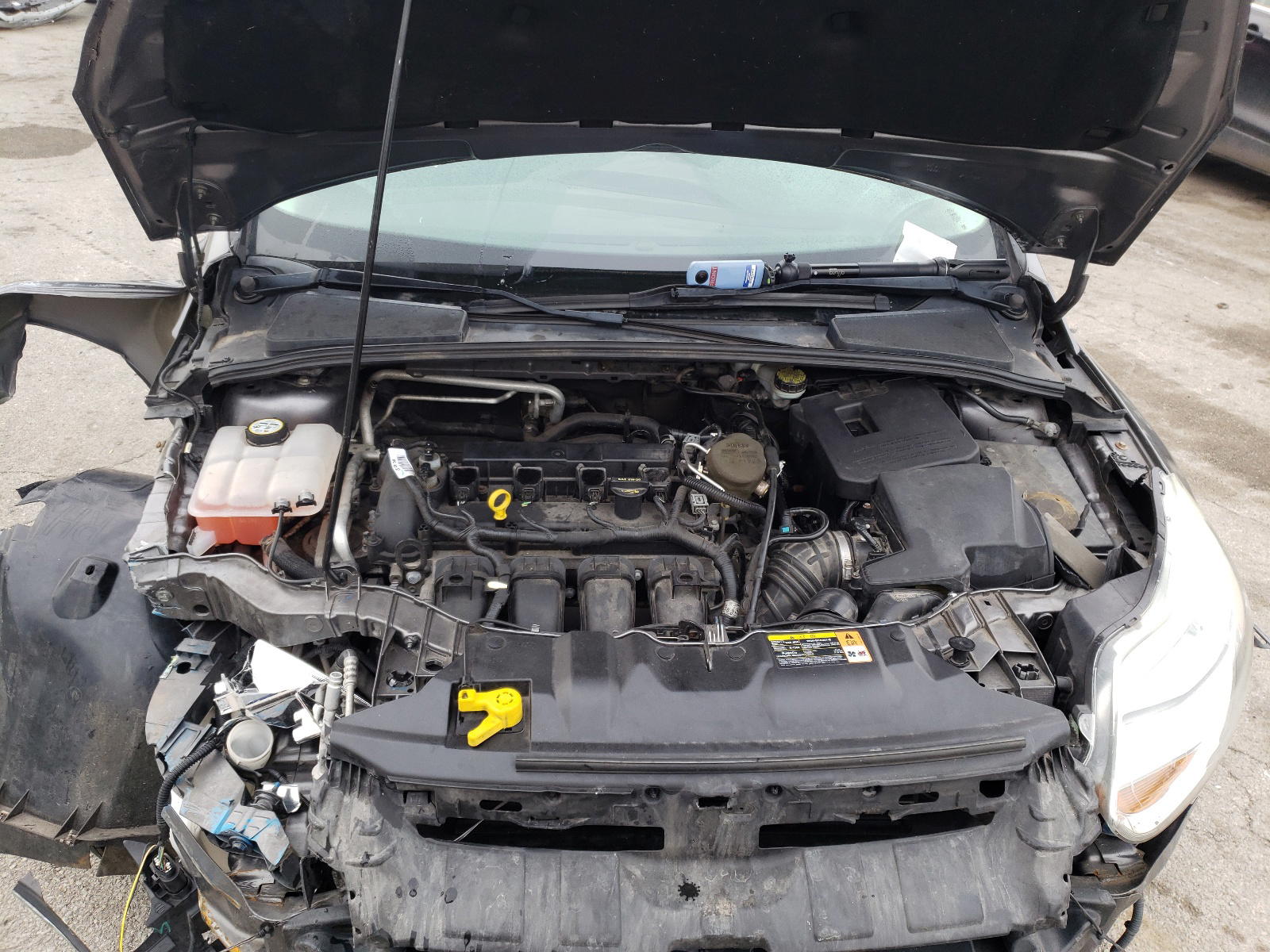 Photo 7 from auction – 2012 FORD FOCUS SE with VIN 1FAHP3F22CL187162