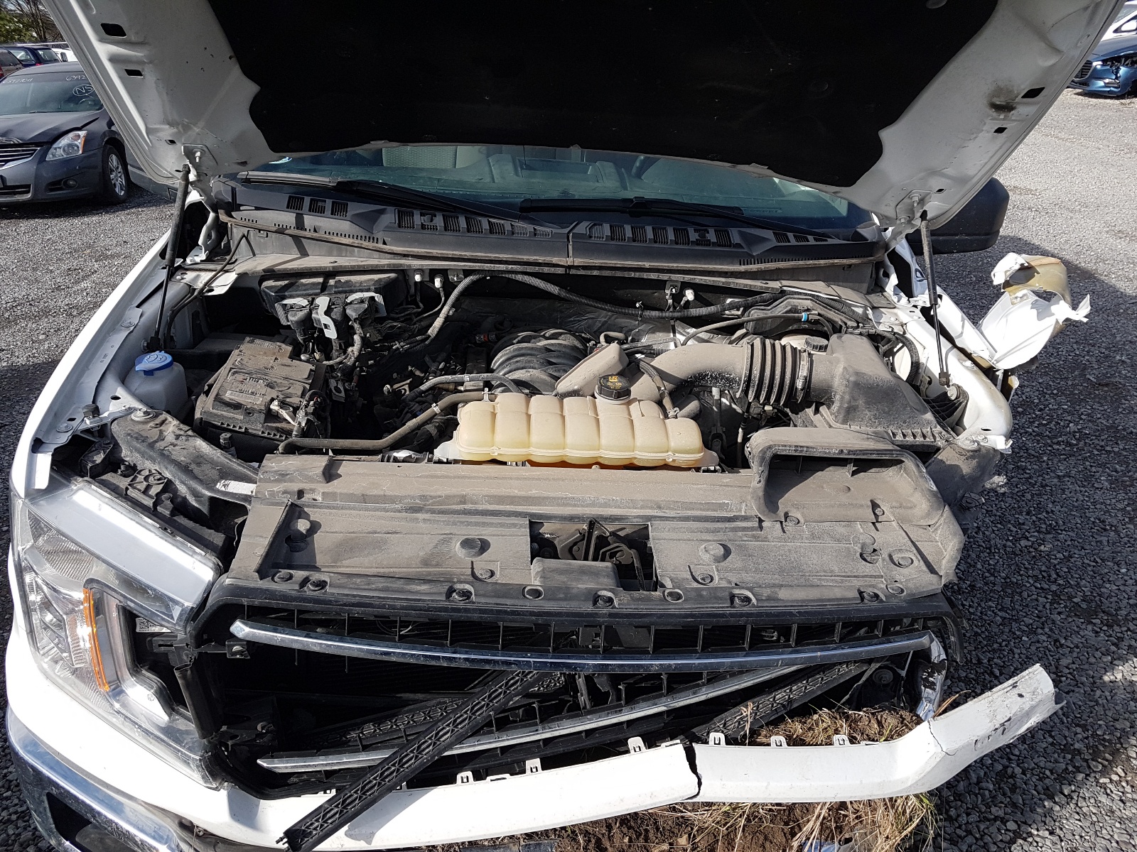 Photo 7 from auction – 2019 FORD F150 SUPER with VIN 1FTFW1E54KKD19296