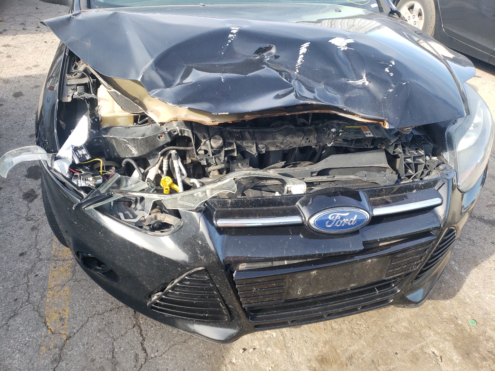 Photo 9 from auction – 2012 FORD FOCUS TITA with VIN 1FAHP3N24CL271548