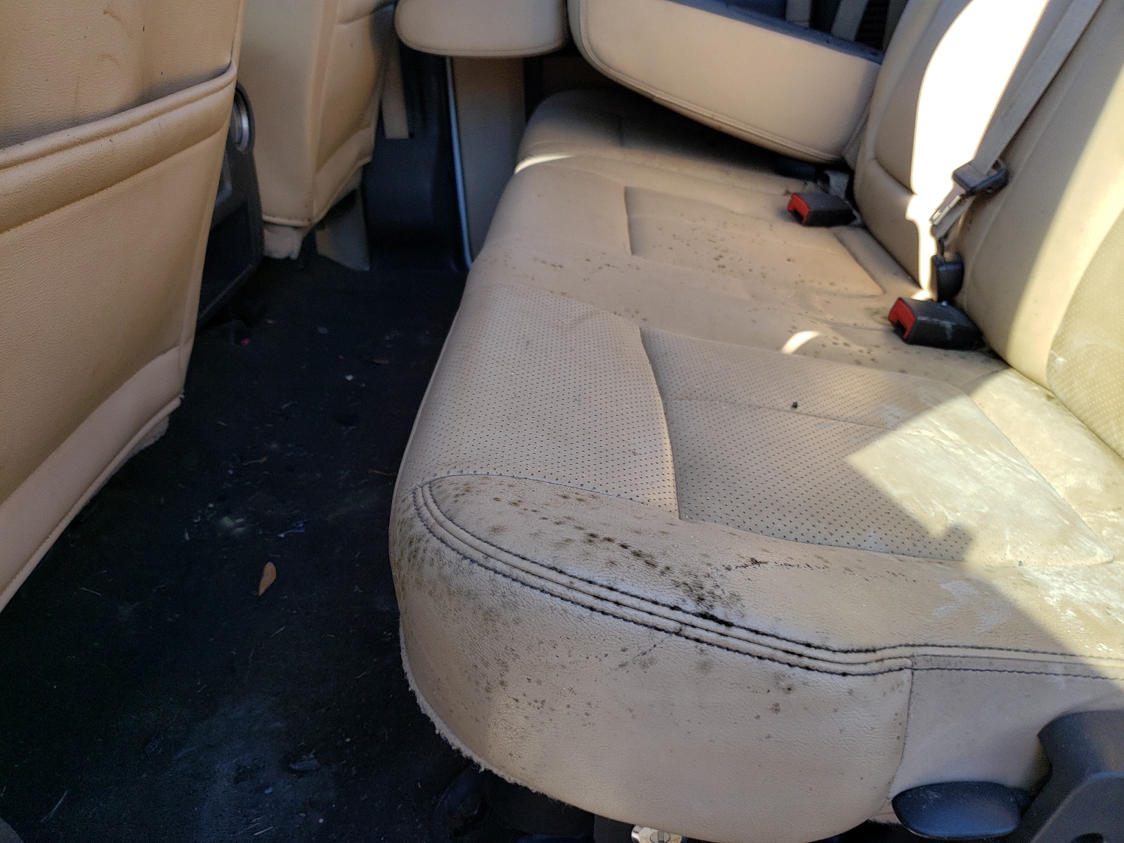 Photo 6 from auction – 2014 FORD F250 SUPER with VIN 1FT7W2BT4EEB17896