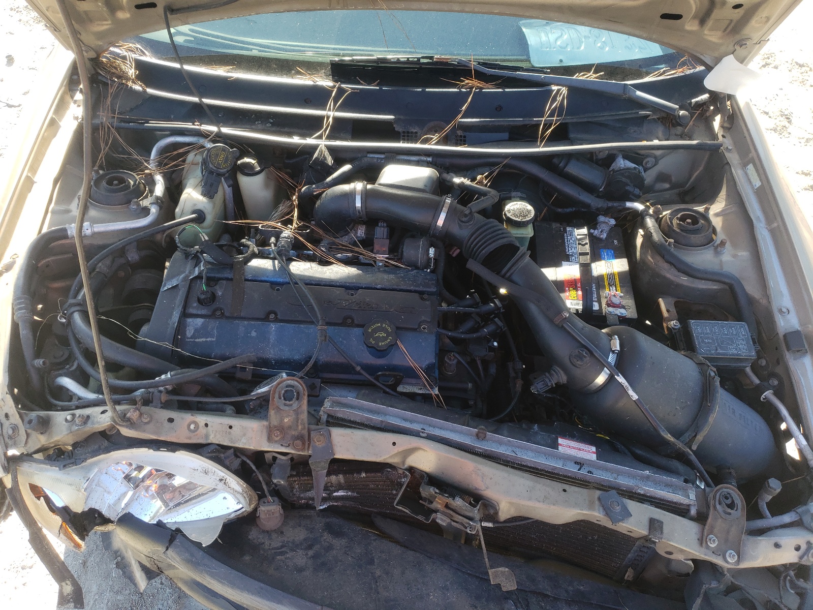 Photo 7 from auction – 1998 FORD ESCORT ZX2 with VIN 3FAKP1130WR183353