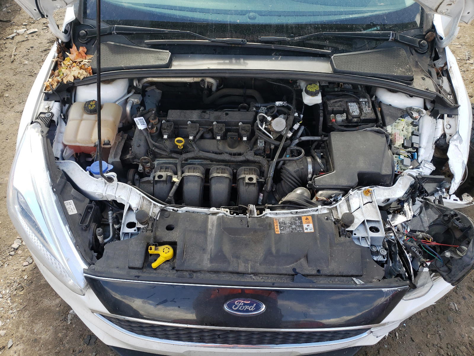 Photo 7 from auction – 2017 FORD FOCUS SE with VIN 1FADP3K20HL261206
