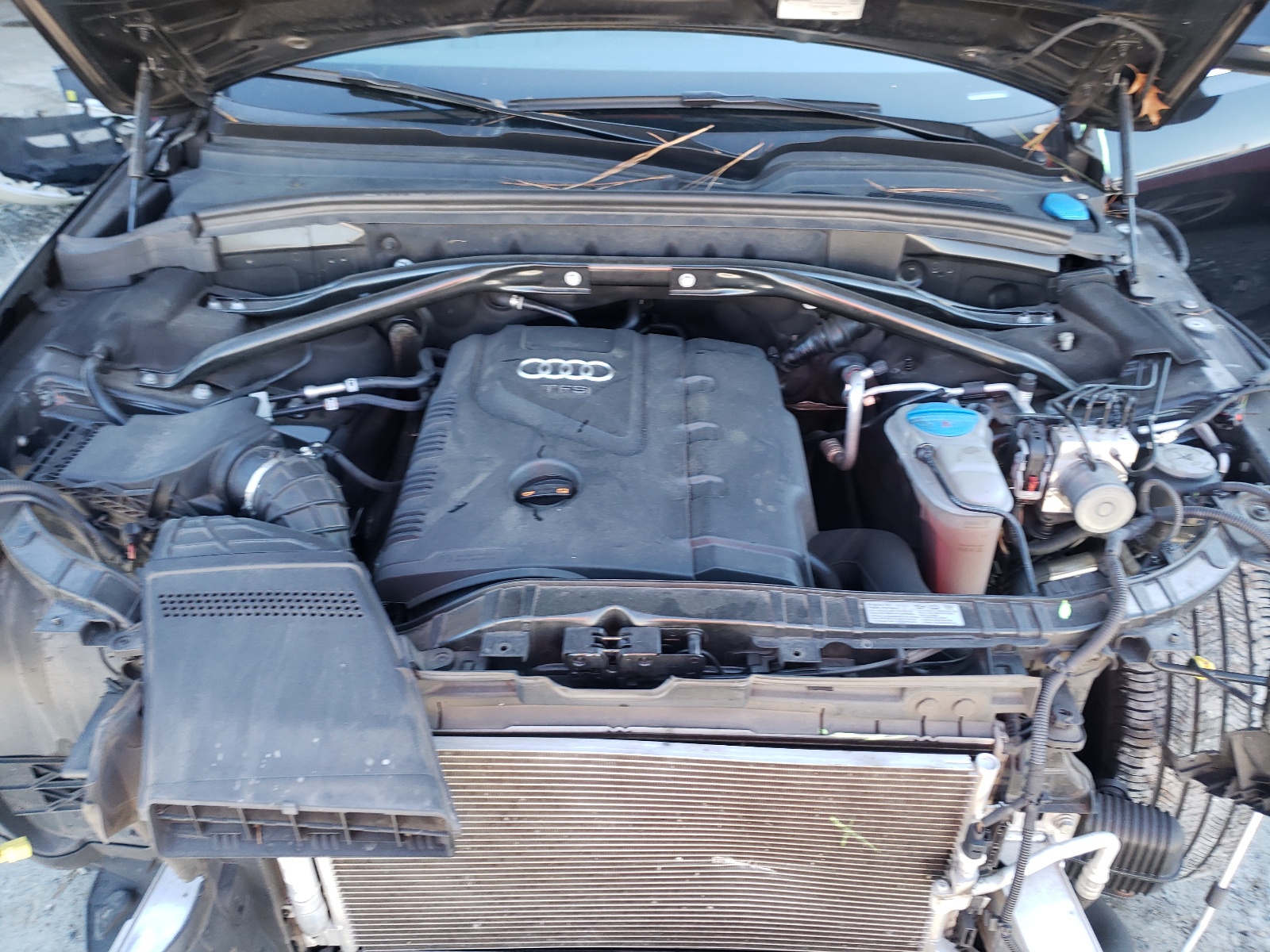 Фото 7 с аукциона – 2012 AUDI Q5 PREMIUM с VIN WA1LFAFP0CA061766