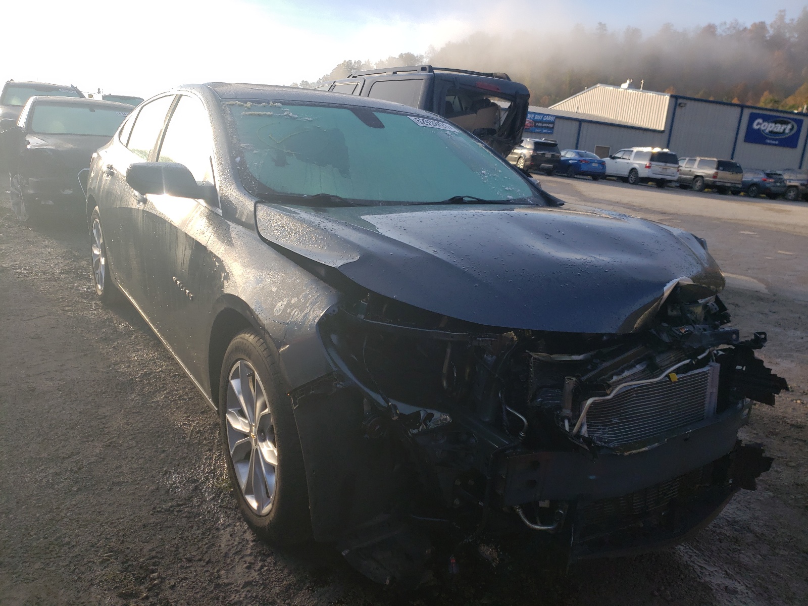 CHEVROLET MALIBU LT 2020 with VIN 1G1ZD5ST5LF006337 - Photo from auction