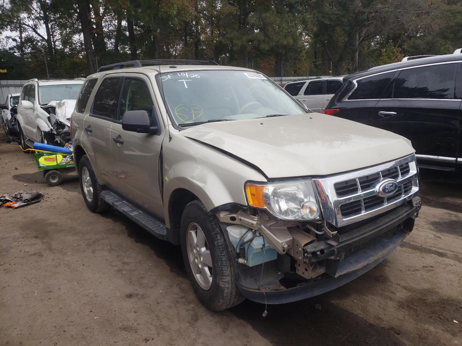 FORD ESCAPE XLT 2011 with VIN 1FMCU0D76BKA36531 - Photo from auction