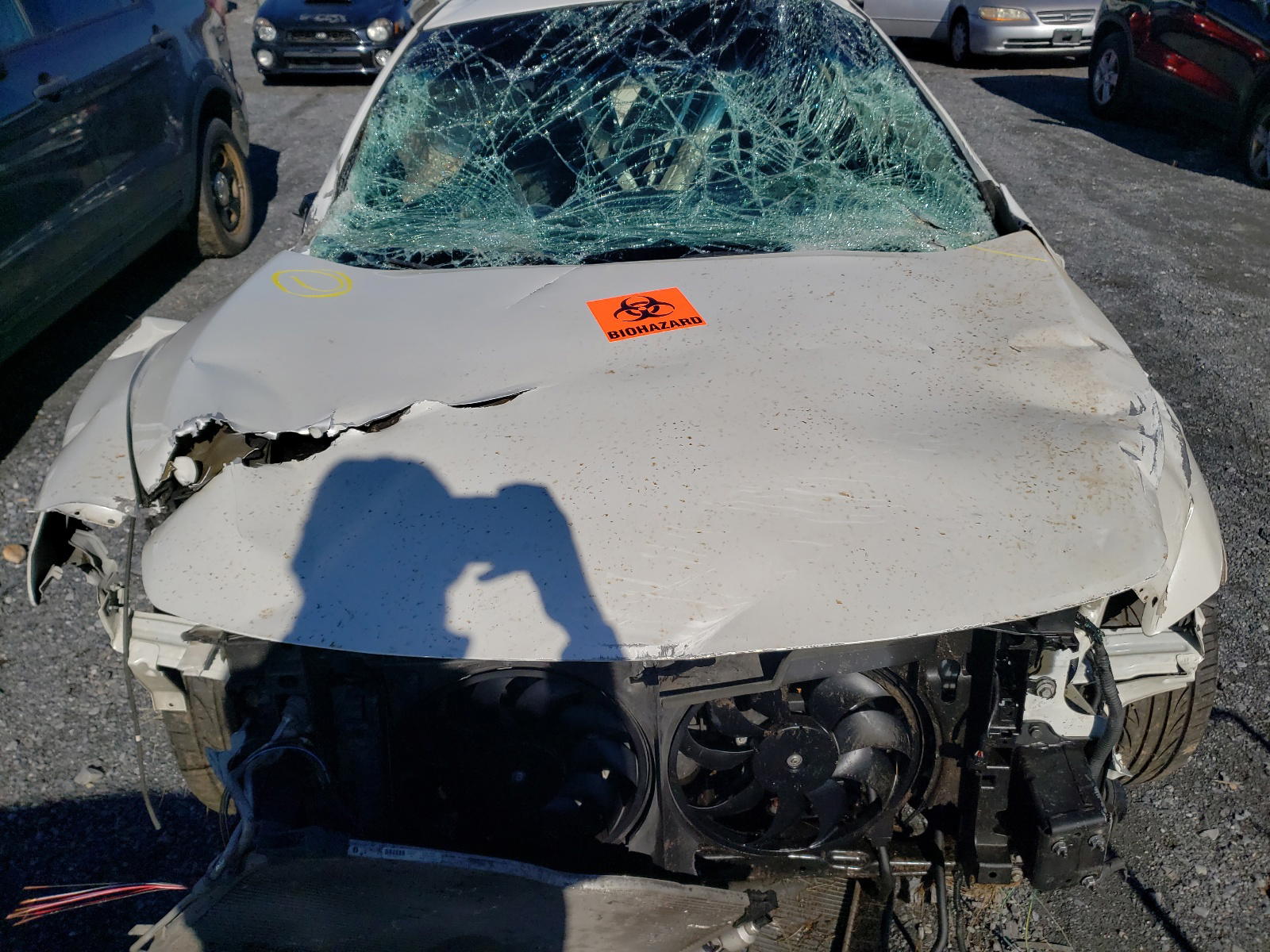 Photo 7 from auction – 2014 NISSAN MAXIMA S with VIN 1N4AA5AP1EC463769