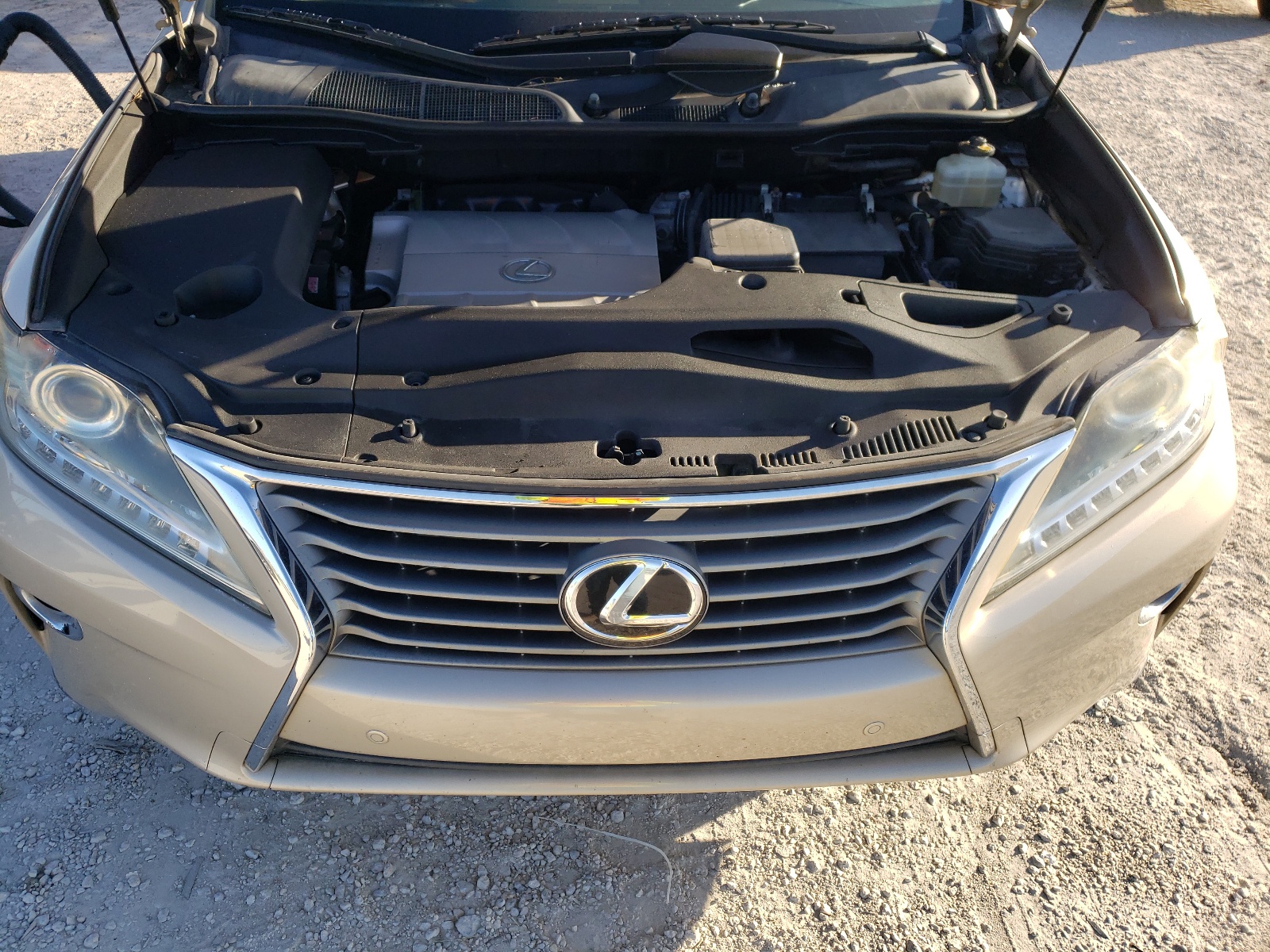 Photo 7 from auction – 2013 LEXUS RX 350 with VIN JTJZK1BA0D2006871