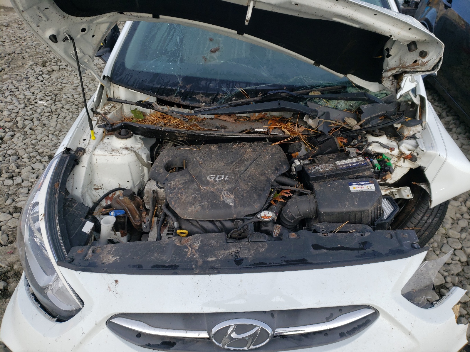 Photo 7 from auction – 2016 HYUNDAI ACCENT SE with VIN KMHCT4AE7GU043173