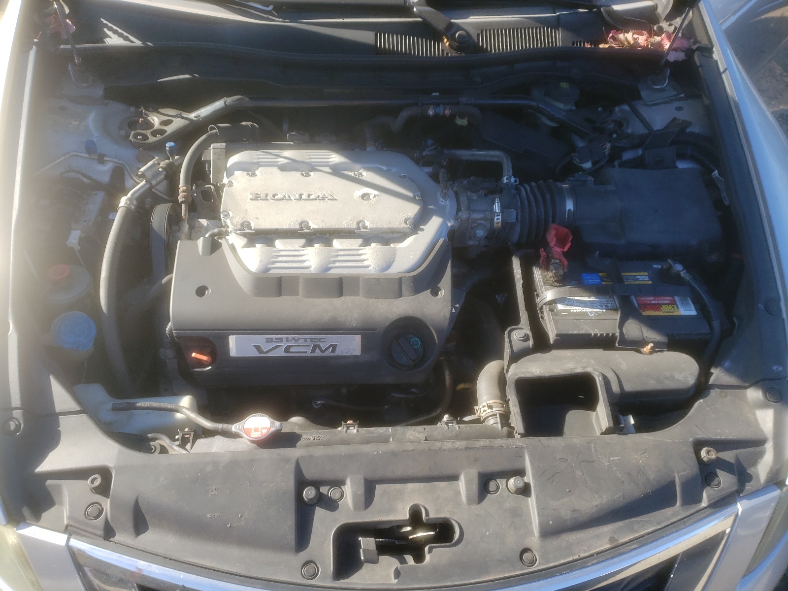Photo 7 from auction – 2008 HONDA ACCORD EXL with VIN 1HGCP368X8A033148