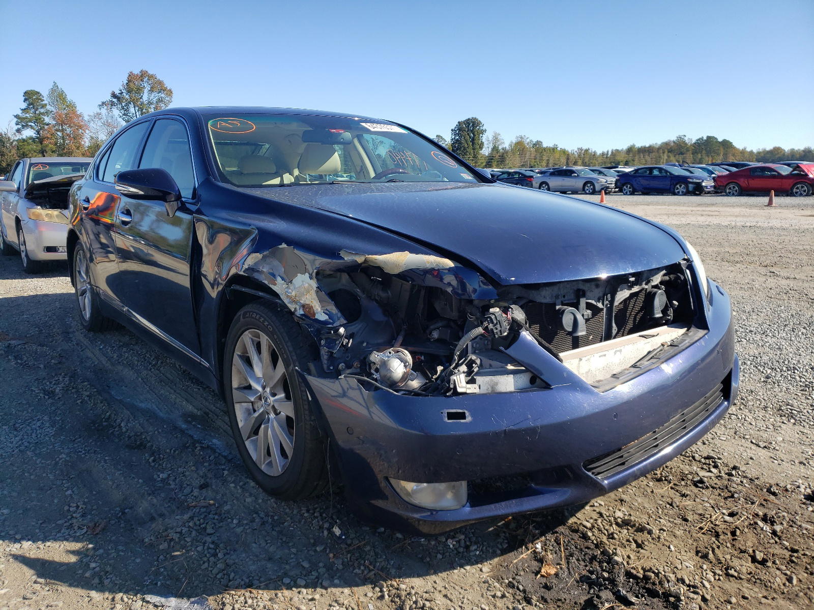 LEXUS LS 460 2010 with VIN JTHCL5EF3A5005260 - Photo from auction