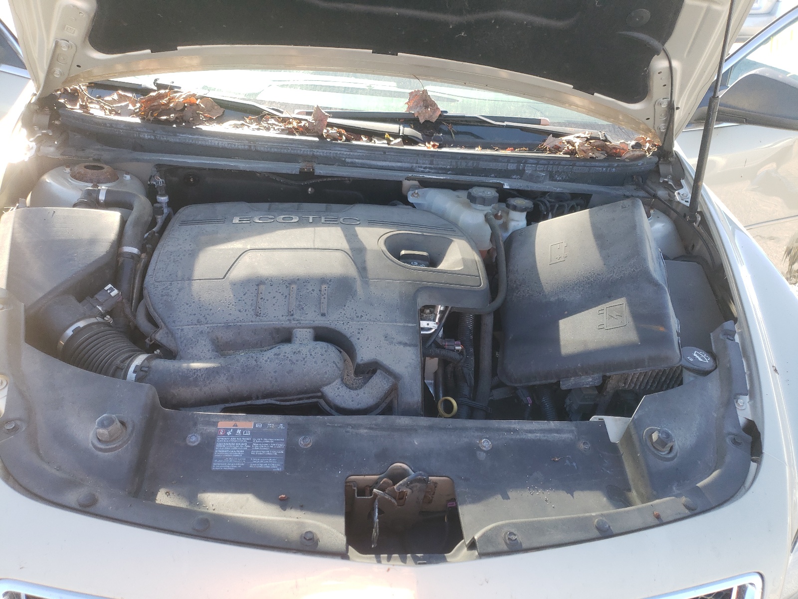 Photo 7 from auction – 2010 CHEVROLET MALIBU LS with VIN 1G1ZB5EB6AF267319