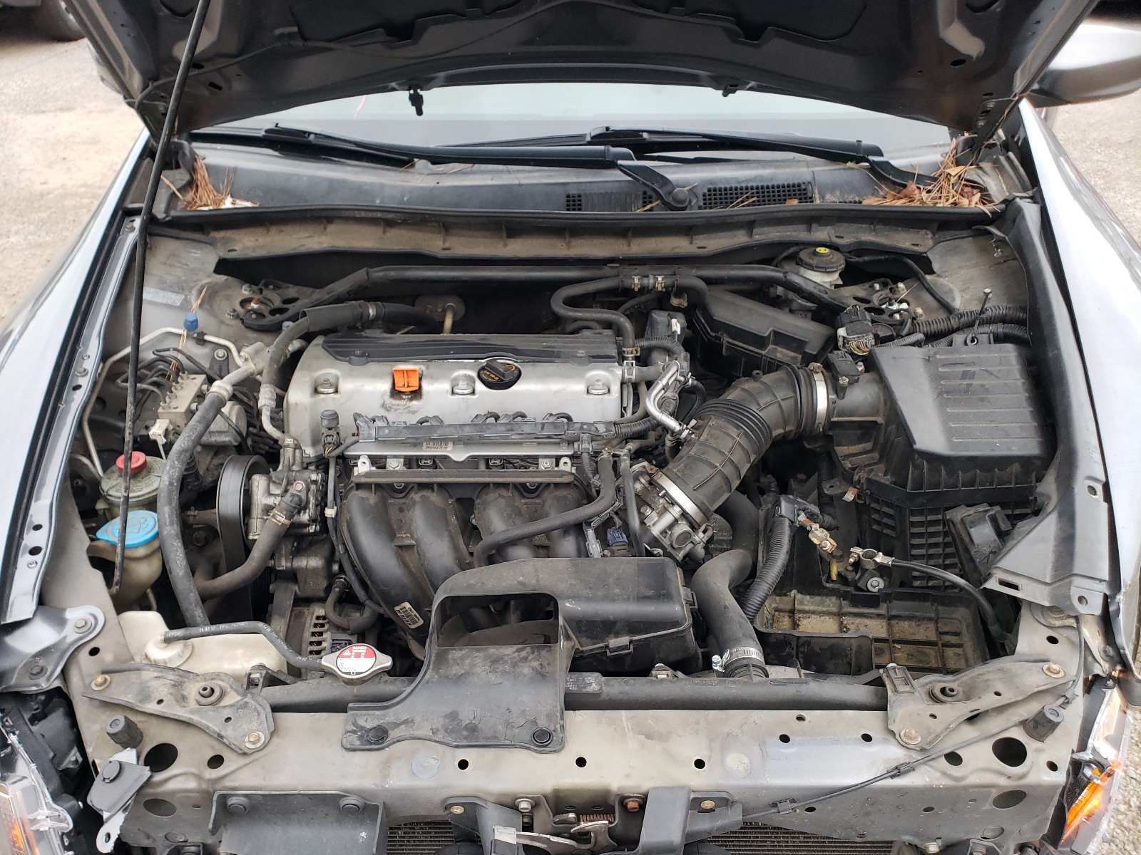 Photo 7 from auction – 2010 HONDA ACCORD EXL with VIN 1HGCP2F87AA167230