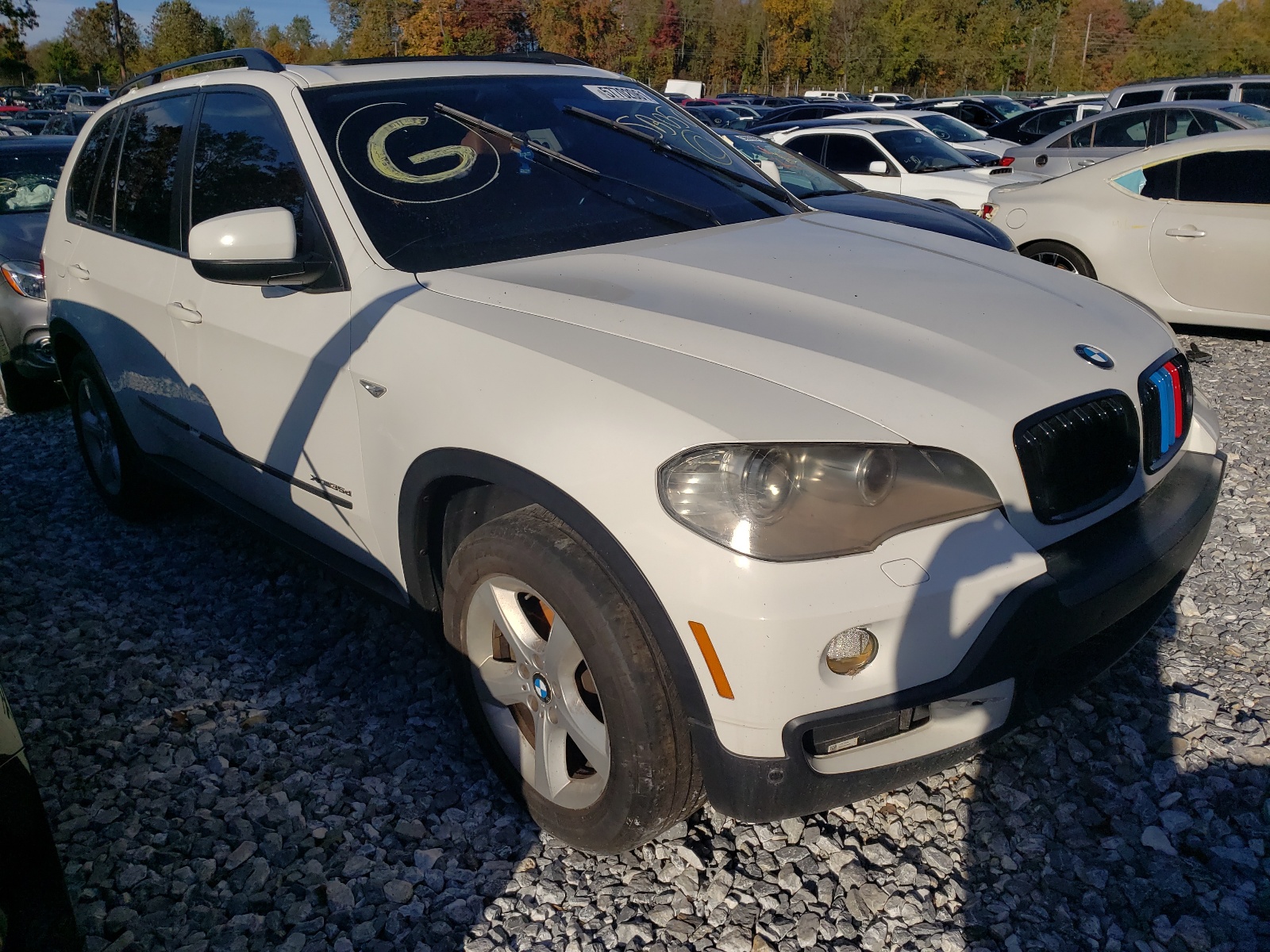 BMW X5 XDRIVE3 2009 with VIN 5UXFF03509LJ95785 - Photo from auction