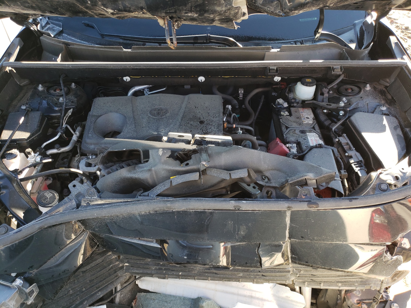 Photo 7 from auction – 2020 TOYOTA RAV4 LE with VIN JTMF1RFV1LD530179