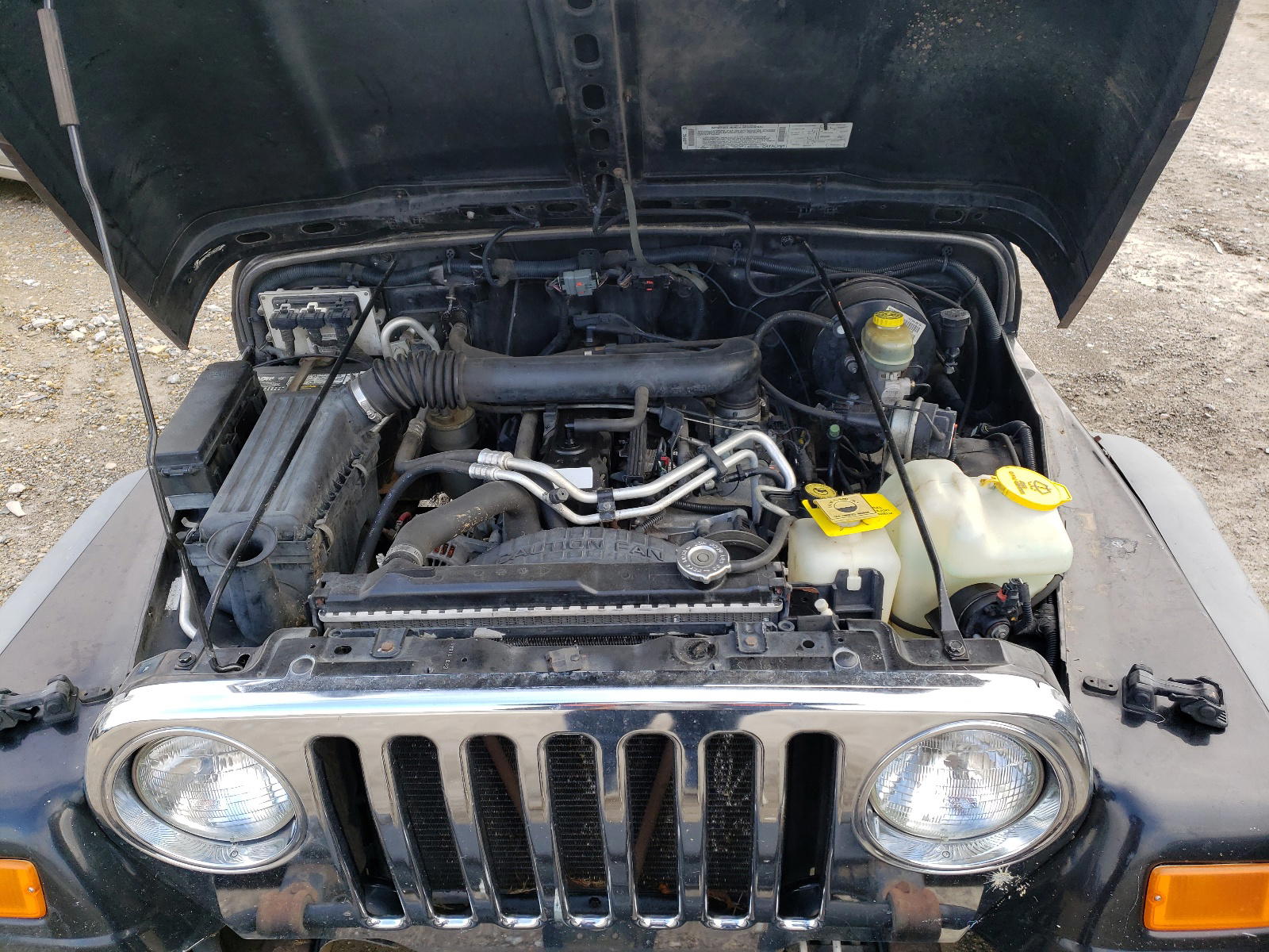 Photo 7 from auction – 2003 JEEP WRANGLER C with VIN 1J4FA39S83P368283