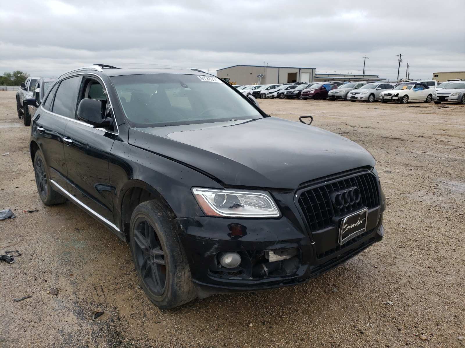 AUDI Q5 PREMIUM 2016 with VIN WA1L2AFP4GA021823 - Photo from auction